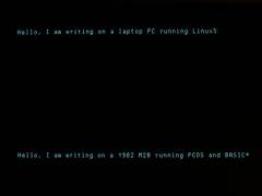 terminal screenshot