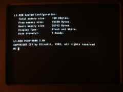 PCOS prompt screenshot