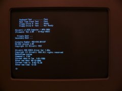 The MS-DOS prompt
